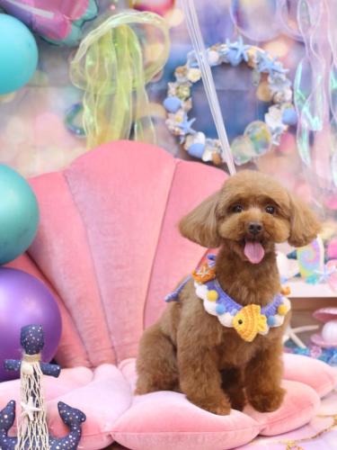 20240820永遠ちゃん